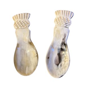 Pair of Vintage natural Horn spoons with Thistle handle
